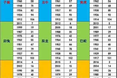 2024年五行属什么